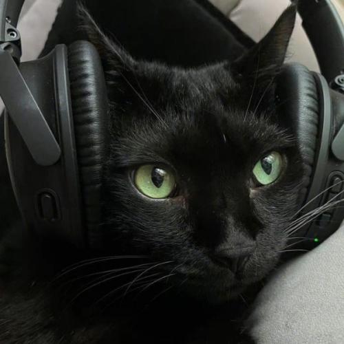 สมาชิกหมายเลข 8371441