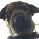 สมาชิกหมายเลข 3822481