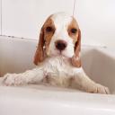 สมาชิกหมายเลข 1802455