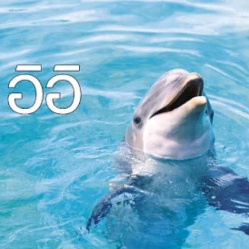 สมาชิกหมายเลข 4765969