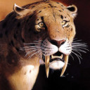 สมาชิกหมายเลข 4766092