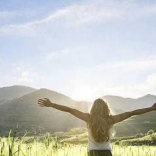 สมาชิกหมายเลข 5141823