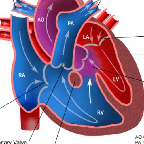 สมาชิกหมายเลข 5142013