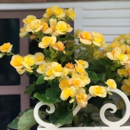 สมาชิกหมายเลข 5375637