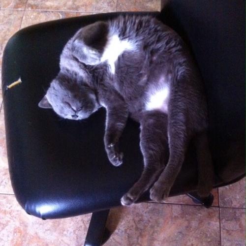 สมาชิกหมายเลข 1839170