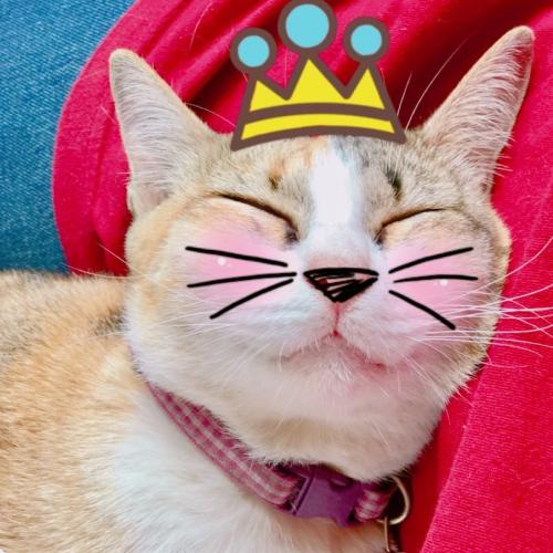 สมาชิกหมายเลข 2816828