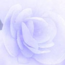 สมาชิกหมายเลข 4139425