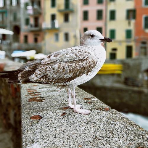 ตระกูล นักปราชญ์