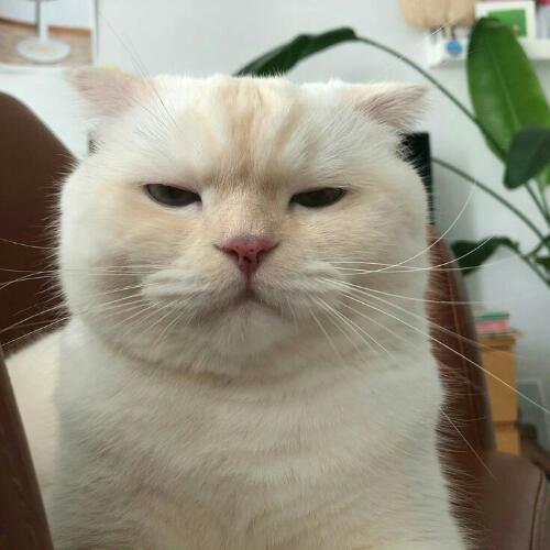 สมาชิกหมายเลข 3844134