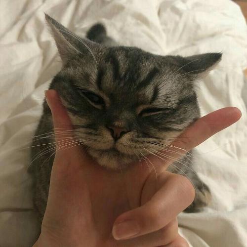 สมาชิกหมายเลข 5541590