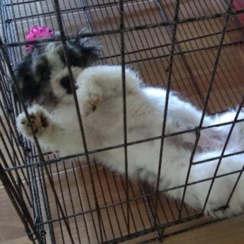 สมาชิกหมายเลข 3623586