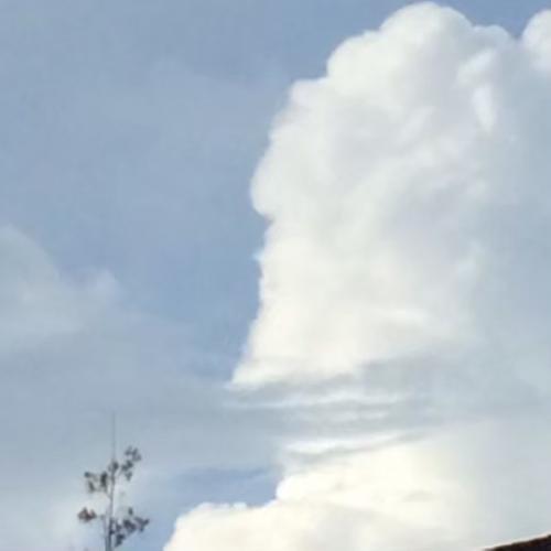 สมาชิกหมายเลข 6094179