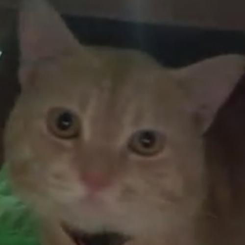 สมาชิกหมายเลข 3853887