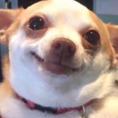 สมาชิกหมายเลข 6717167