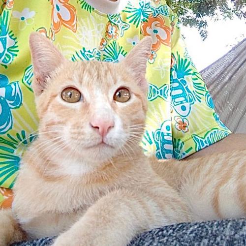 สมาชิกหมายเลข 2721727