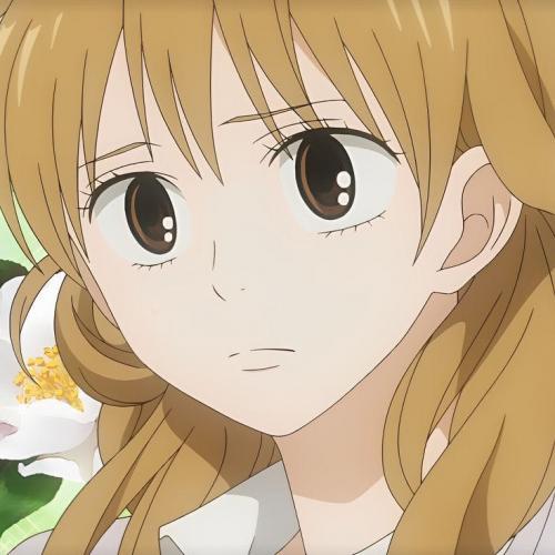 สมาชิกหมายเลข 8374227