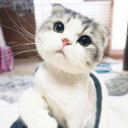 สาวน้อยนครปฐม