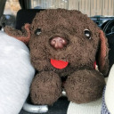 สมาชิกหมายเลข 1023985