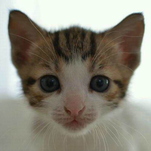 สมาชิกหมายเลข 5140958