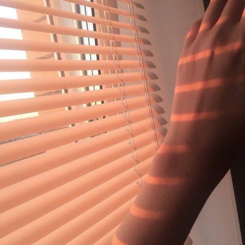 สมาชิกหมายเลข 5142427