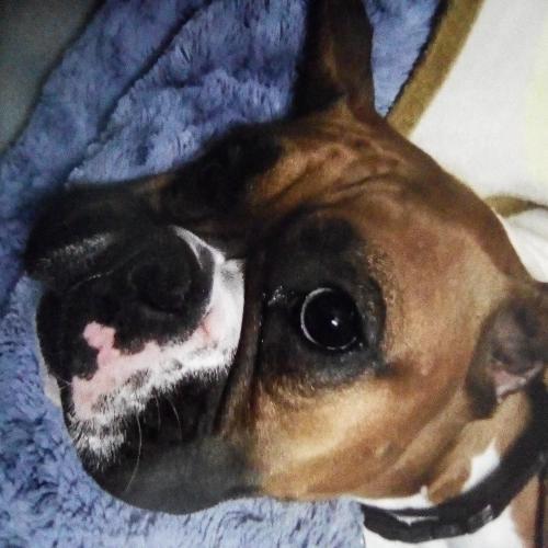 สมาชิกหมายเลข 4434244