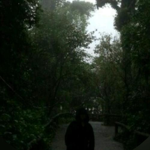 สมาชิกหมายเลข 5541882