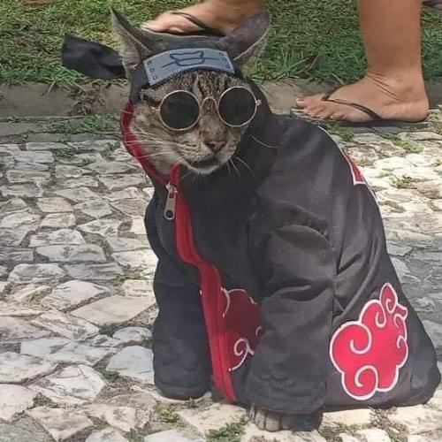 สมาชิกหมายเลข 5542030