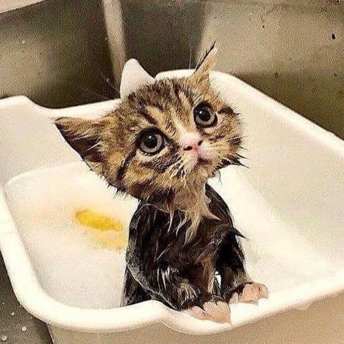 สมาชิกหมายเลข 5542035