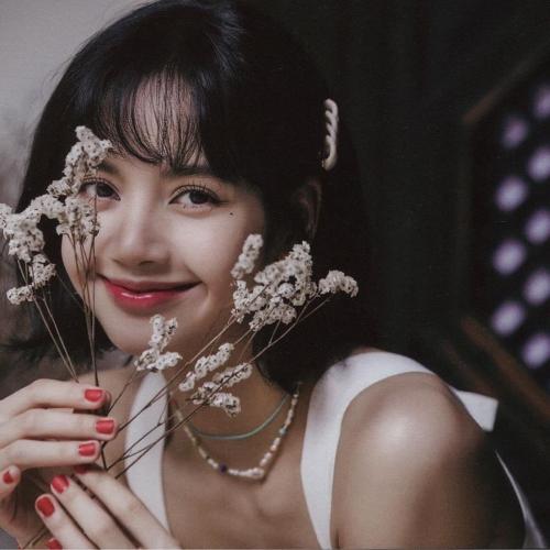 สมาชิกหมายเลข 6095095