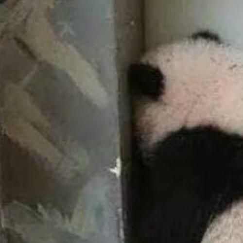 อย่ามาจับนะ