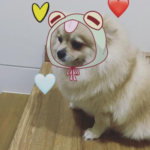 สมาชิกหมายเลข 6717628