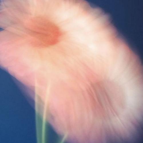 สมาชิกหมายเลข 7475796