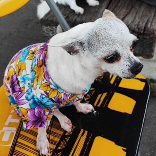 สมาชิกหมายเลข 2733942