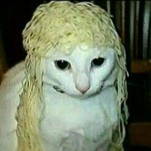 สมาชิกหมายเลข 6006507