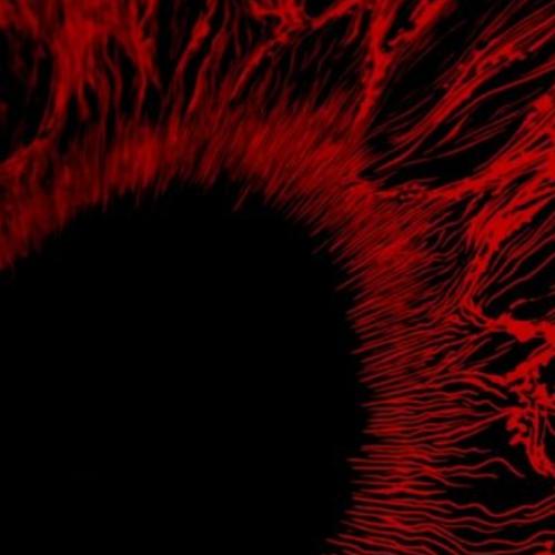 สมาชิกหมายเลข 7119454