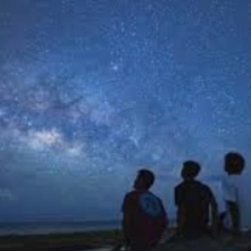 สมาชิกหมายเลข 7785835