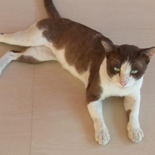 สมาชิกหมายเลข 8373828