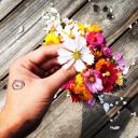 สมาชิกหมายเลข 3135574