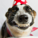 สมาชิกหมายเลข 3808719