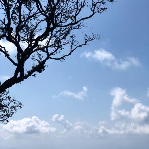 สมาชิกหมายเลข 3589245