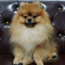 สมาชิกหมายเลข 3940206