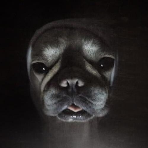 สมาชิกหมายเลข 4418708