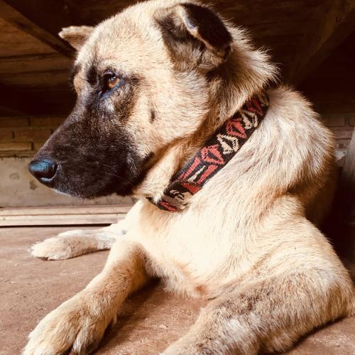 สมาชิกหมายเลข 4767373