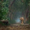 สมาชิกหมายเลข 3624647