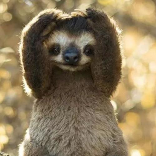 สมาชิกหมายเลข 4489823