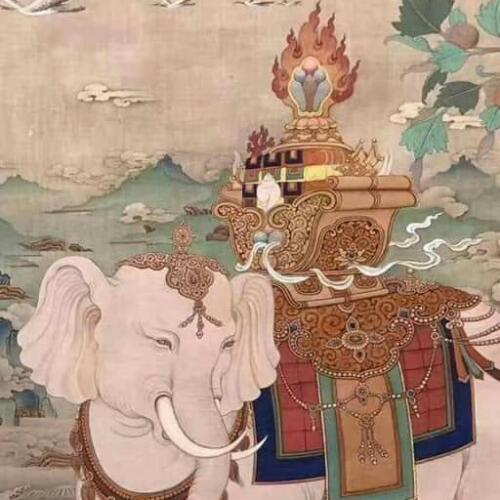 สมาชิกหมายเลข 5142279