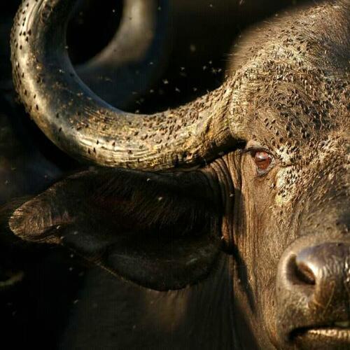 สมาชิกหมายเลข 5143471