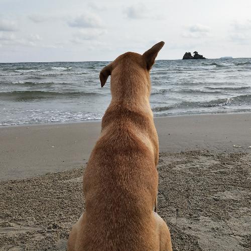 สมาชิกหมายเลข 5543260