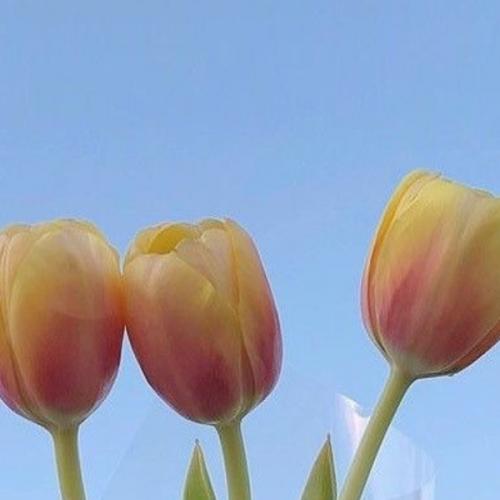 สมาชิกหมายเลข 5672468