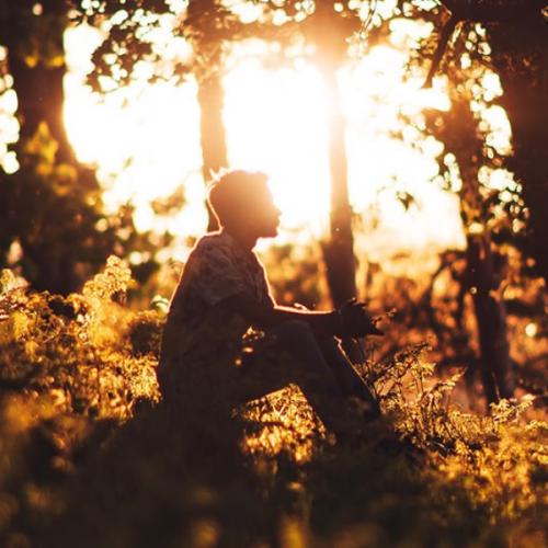 สมาชิกหมายเลข 6077468